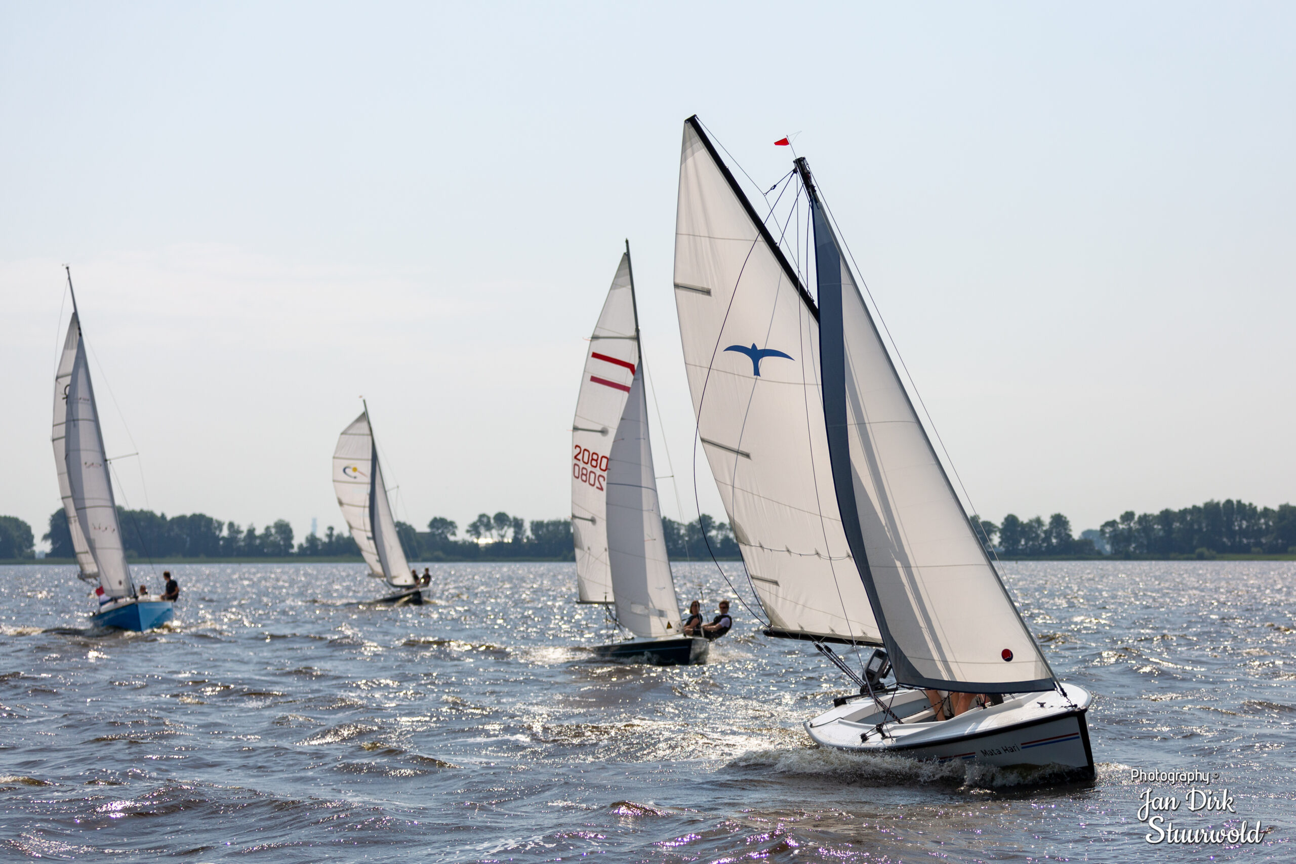 Hooravalk heegermeer