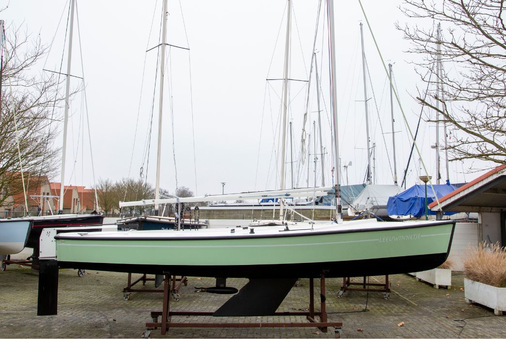 Leeuwinnetje - Occasion