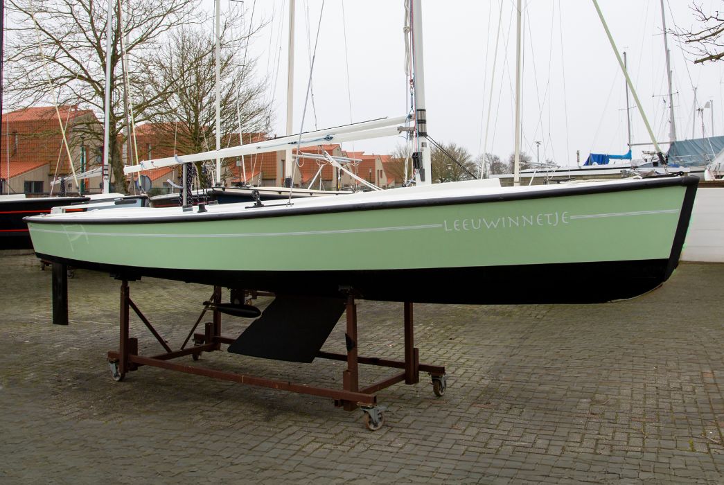 Leeuwinnetje - Occasion