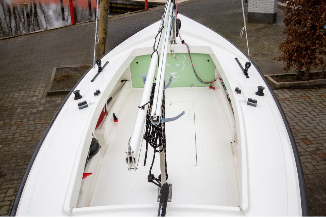 Leeuwinnetje - Occasion