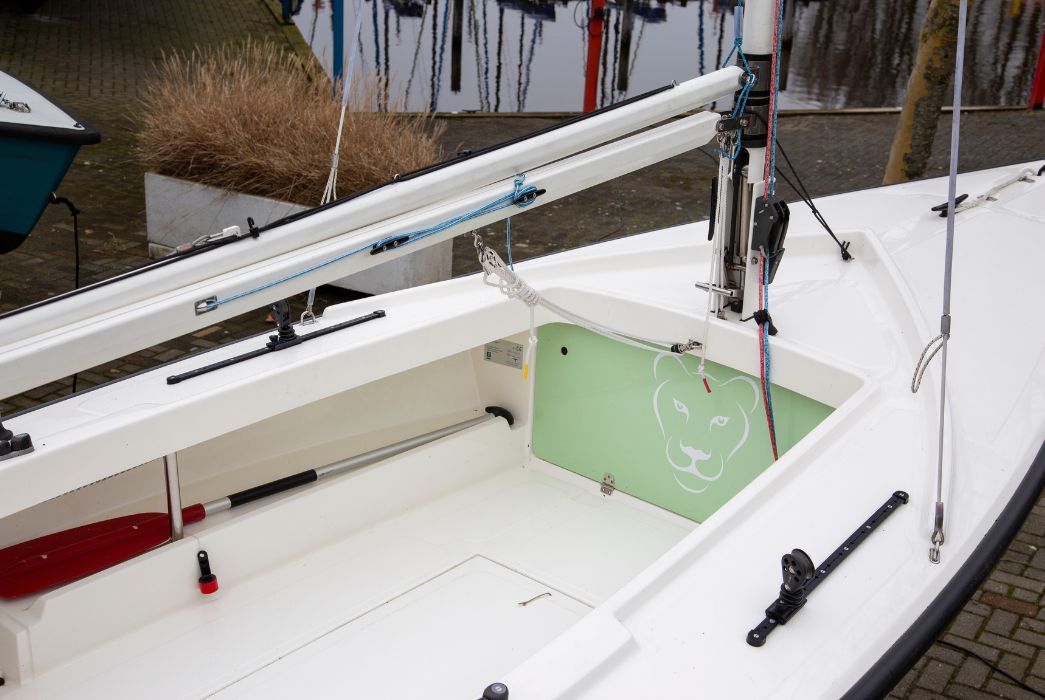 Leeuwinnetje - Occasion