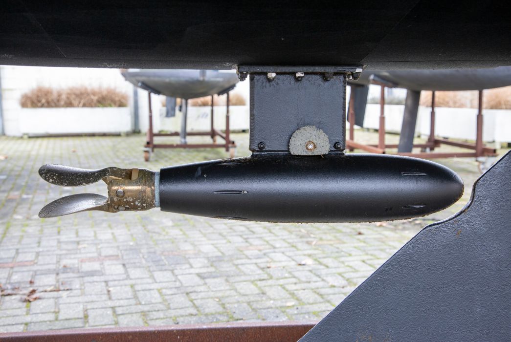 Leeuwinnetje - Occasion