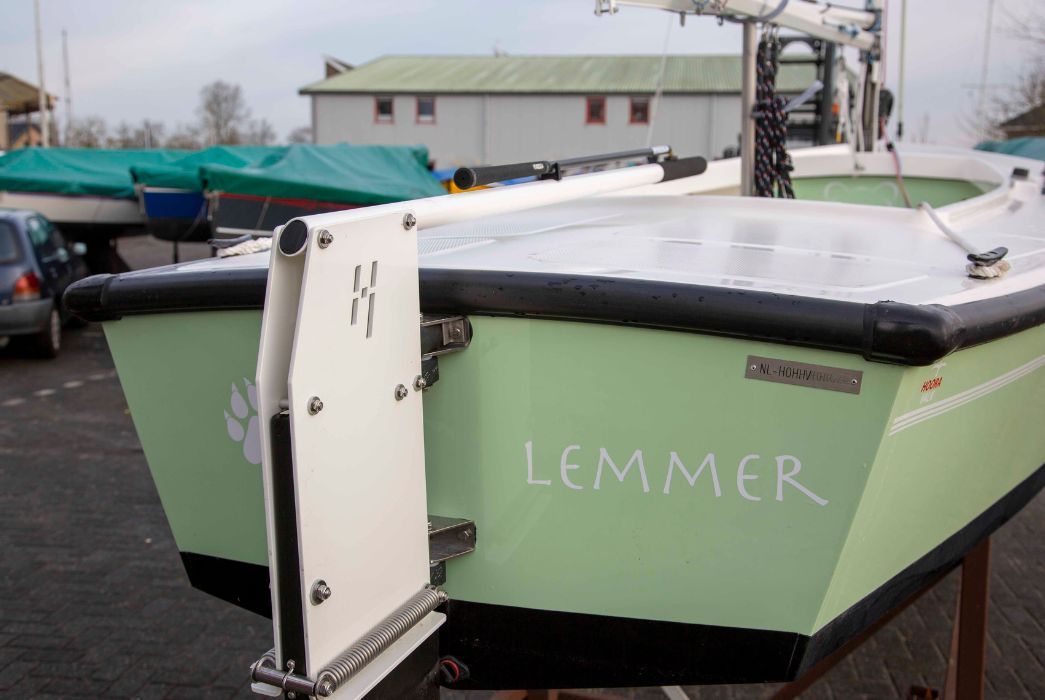 Leeuwinnetje - Occasion