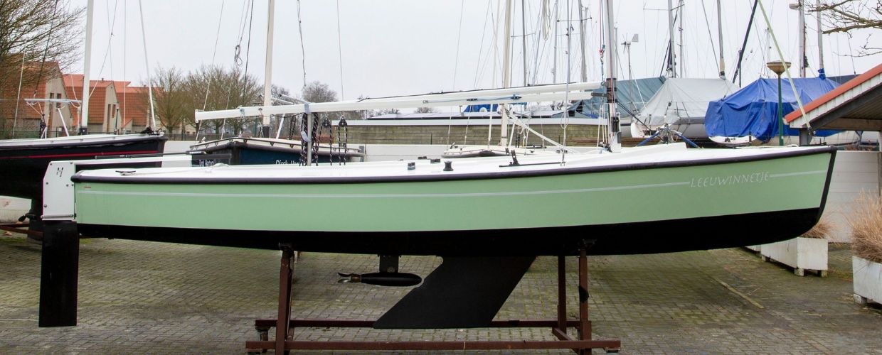 Leeuwinnetje - Occasion